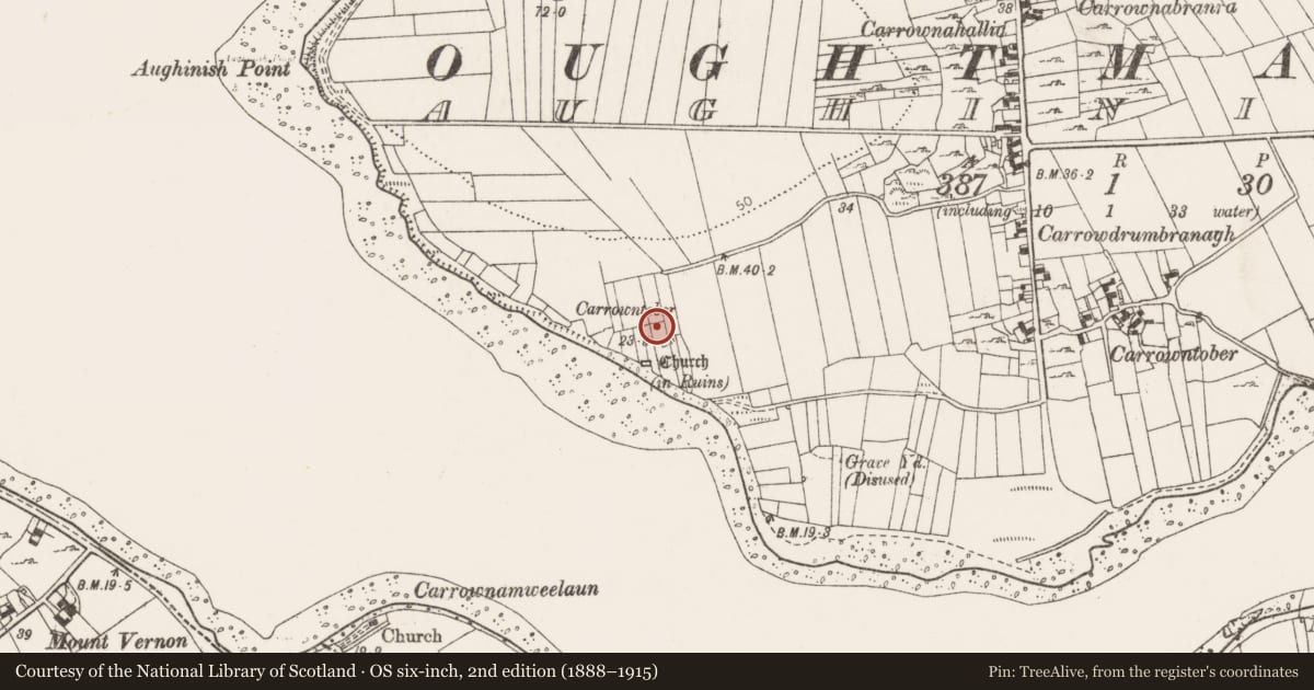 Ordnance Survey six-inch map, 2nd edition (1888–1915) covering the location of Hut site, Aughinish, County Clare, with a pin at the register's coordinates