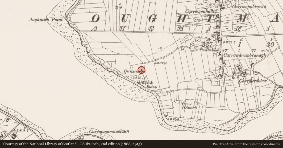 Ordnance Survey six-inch map, 2nd edition (1888–1915) covering the location of Clochan, Aughinish, County Clare, with a pin at the register's coordinates
