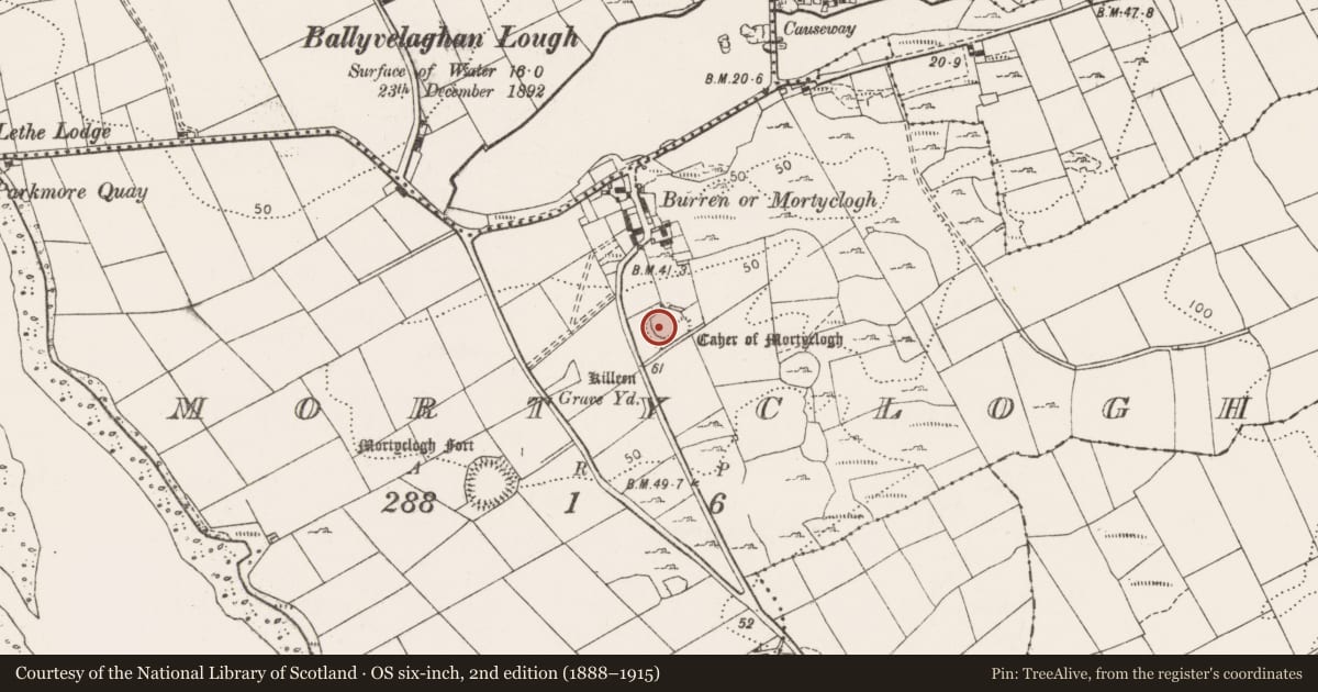 Ordnance Survey six-inch map, 2nd edition (1888–1915) covering the location of Ringfort - cashel, Mortyclogh, County Clare, with a pin at the register's coordinates