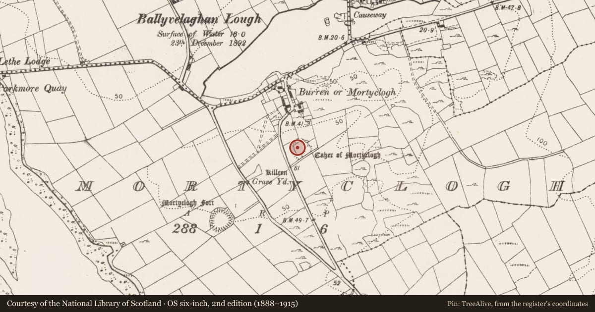 Ordnance Survey six-inch map, 2nd edition (1888–1915) covering the location of Souterrain, Mortyclogh, County Clare, with a pin at the register's coordinates