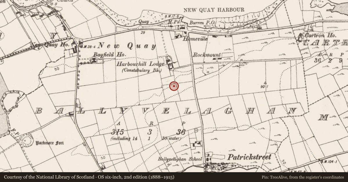 Ordnance Survey six-inch map, 2nd edition (1888–1915) covering the location of Mound, Ballyvelaghan, County Clare, with a pin at the register's coordinates