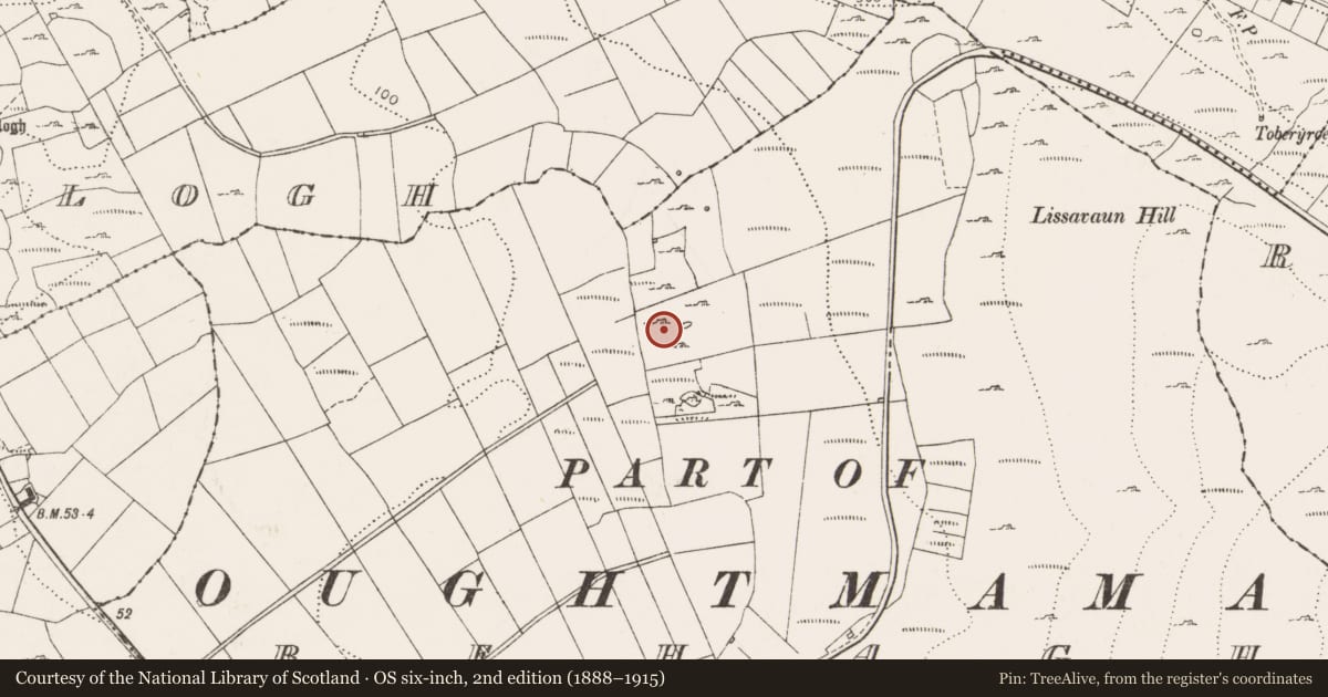 Ordnance Survey six-inch map, 2nd edition (1888–1915) covering the location of Field system, Behagh, County Clare, with a pin at the register's coordinates