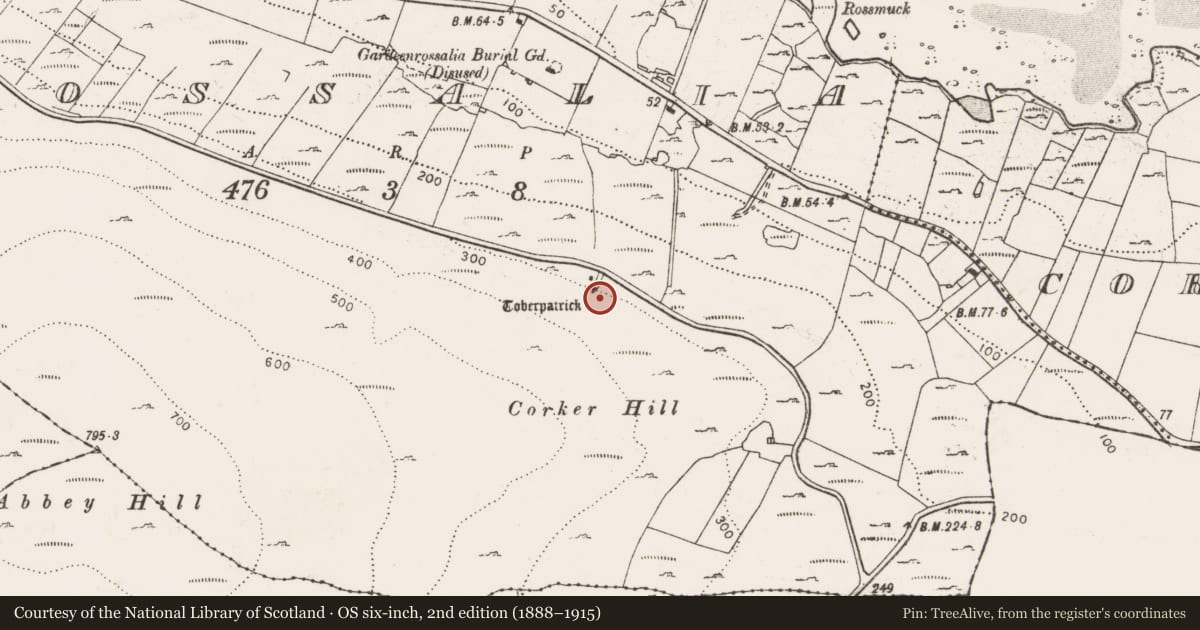 Ordnance Survey six-inch map, 2nd edition (1888–1915) covering the location of Ritual site - holy well, Rossalia, County Clare, with a pin at the register's coordinates
