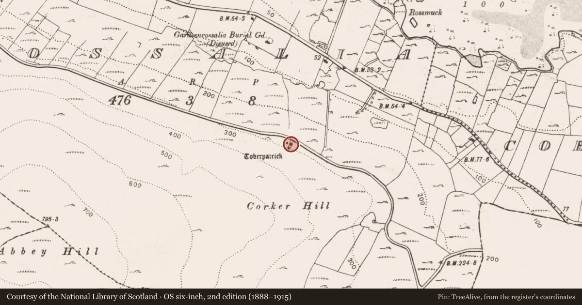 Ordnance Survey six-inch map, 2nd edition (1888–1915) covering the location of Mound, Rossalia, County Clare, with a pin at the register's coordinates