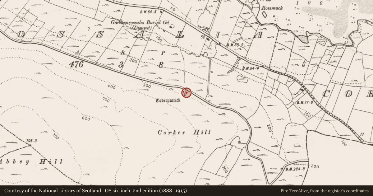 Ordnance Survey six-inch map, 2nd edition (1888–1915) covering the location of Rock scribing - folk art, Rossalia, County Clare, with a pin at the register's coordinates