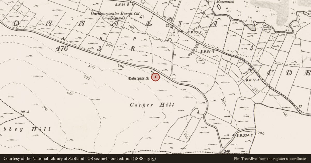 Ordnance Survey six-inch map, 2nd edition (1888–1915) covering the location of Structure, Rossalia, County Clare, with a pin at the register's coordinates
