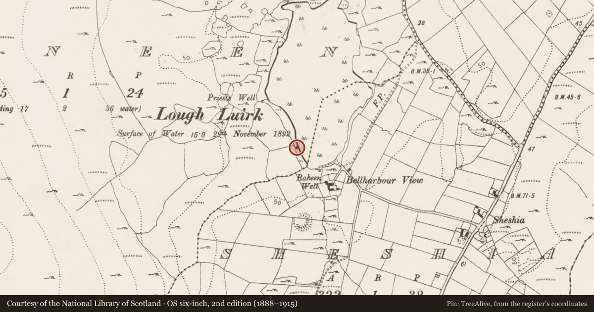 Ordnance Survey six-inch map, 2nd edition (1888–1915) covering the location of Fulacht fia, Moneen, County Clare, with a pin at the register's coordinates