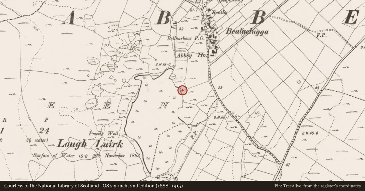 Ordnance Survey six-inch map, 2nd edition (1888–1915) covering the location of Fulacht fia, Moneen, County Clare, with a pin at the register's coordinates