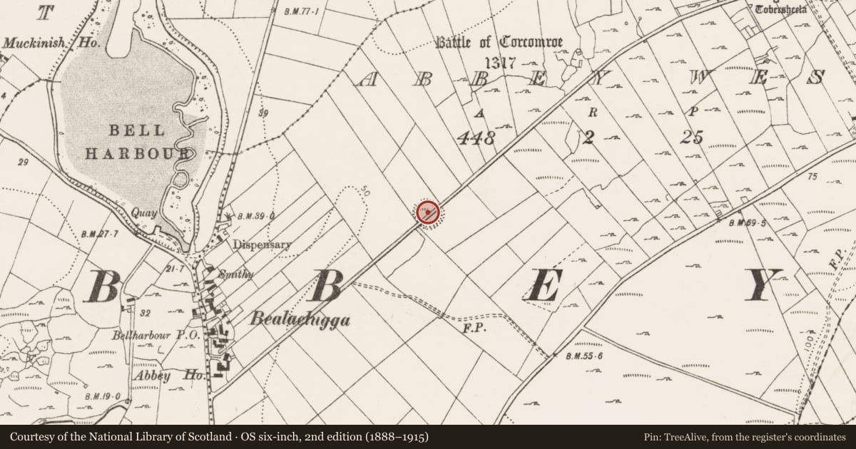 Ordnance Survey six-inch map, 2nd edition (1888–1915) covering the location of Ringfort - rath, Abbey West, County Clare, with a pin at the register's coordinates