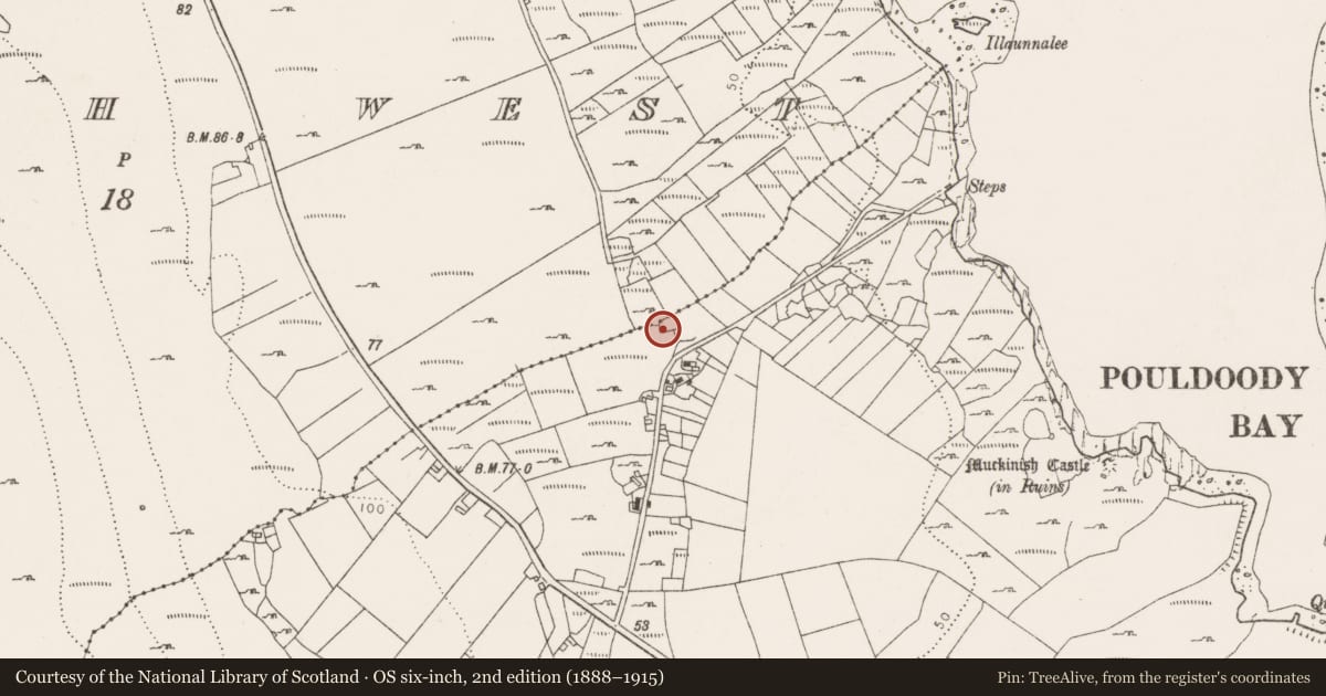 Ordnance Survey six-inch map, 2nd edition (1888–1915) covering the location of Battlefield, Muckinish East, Muckinish West, County Clare, with a pin at the register's coordinates