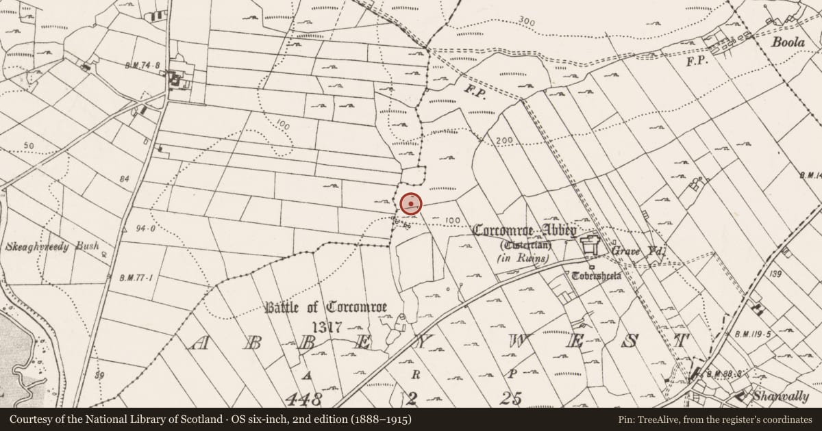 Ordnance Survey six-inch map, 2nd edition (1888–1915) covering the location of Fulacht fia, Abbey West, County Clare, with a pin at the register's coordinates