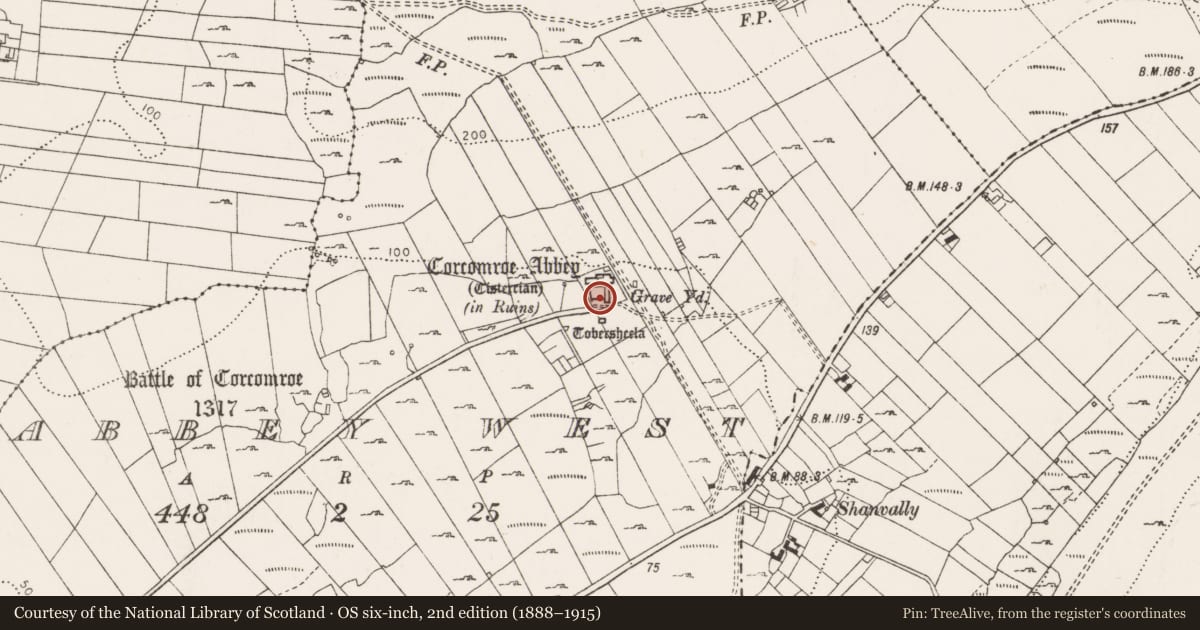 Ordnance Survey six-inch map, 2nd edition (1888–1915) covering the location of Graveyard, Abbey West, County Clare, with a pin at the register's coordinates