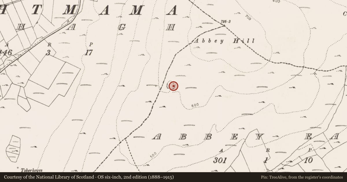 Ordnance Survey six-inch map, 2nd edition (1888–1915) covering the location of Enclosure, Abbey East, County Clare, with a pin at the register's coordinates