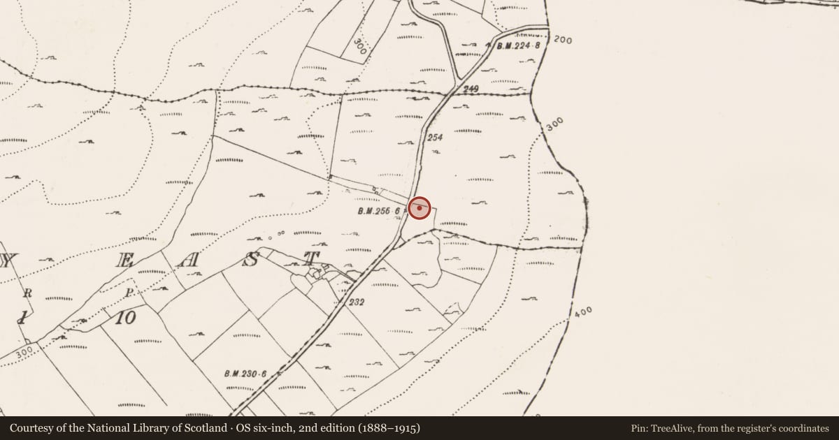 Ordnance Survey six-inch map, 2nd edition (1888–1915) covering the location of Road - road/trackway, County Clare, with a pin at the register's coordinates