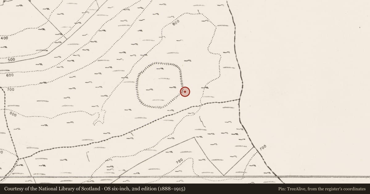 Ordnance Survey six-inch map, 2nd edition (1888–1915) covering the location of Hut site, Oughtmama, County Clare, with a pin at the register's coordinates