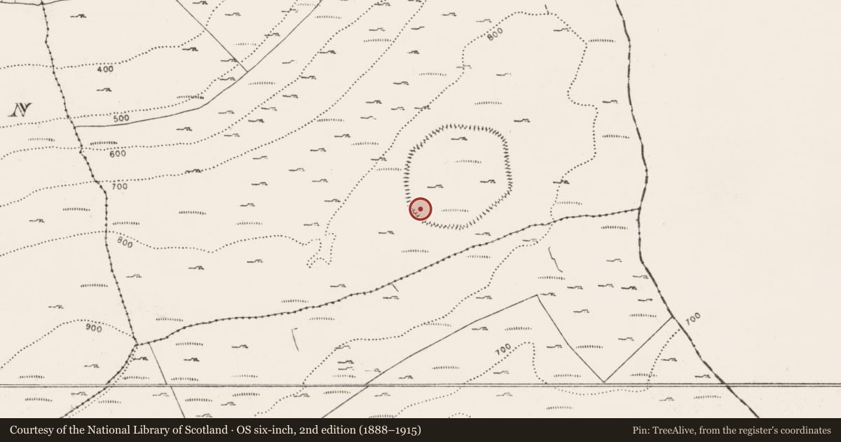 Ordnance Survey six-inch map, 2nd edition (1888–1915) covering the location of Hut site, Oughtmama, County Clare, with a pin at the register's coordinates