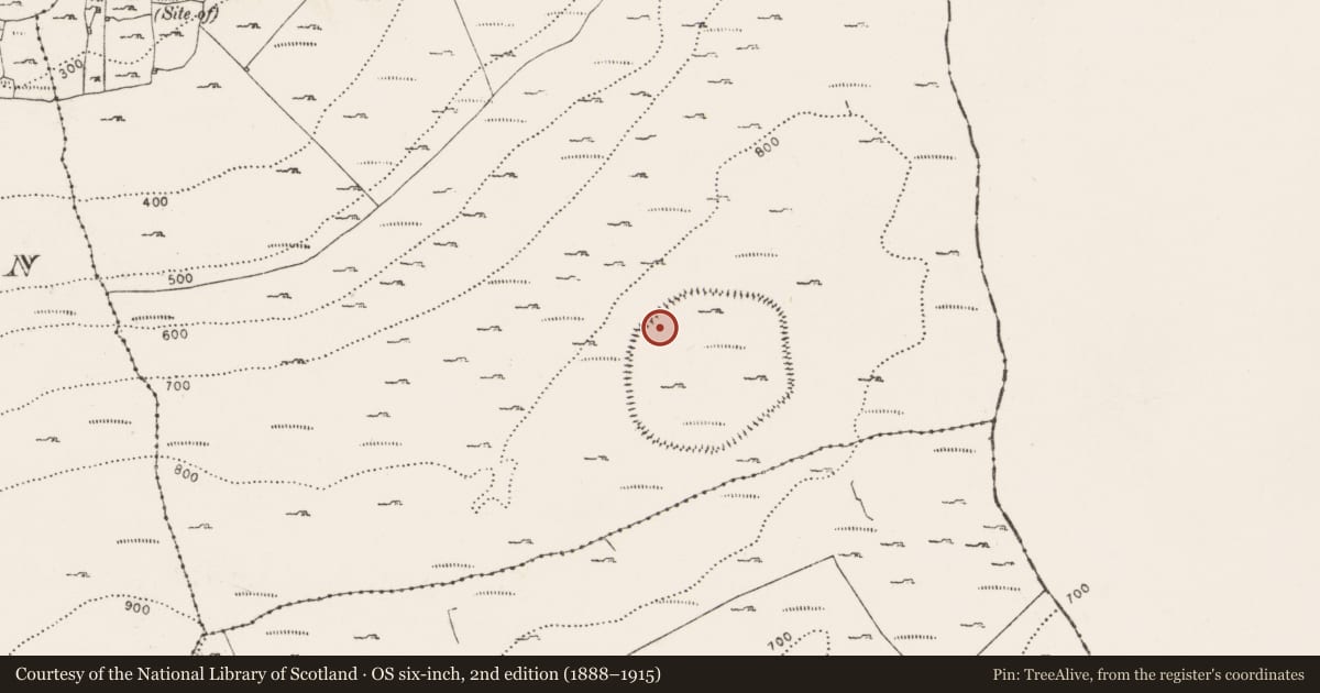 Ordnance Survey six-inch map, 2nd edition (1888–1915) covering the location of Hut site, Oughtmama, County Clare, with a pin at the register's coordinates
