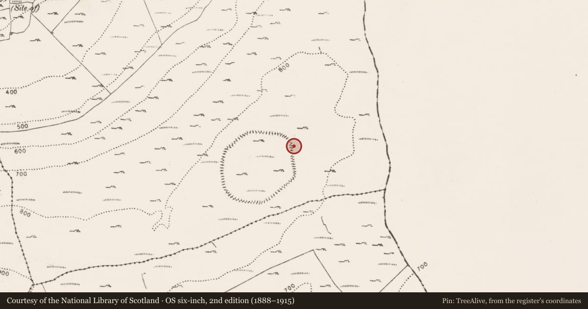 Ordnance Survey six-inch map, 2nd edition (1888–1915) covering the location of Hut site, Oughtmama, County Clare, with a pin at the register's coordinates