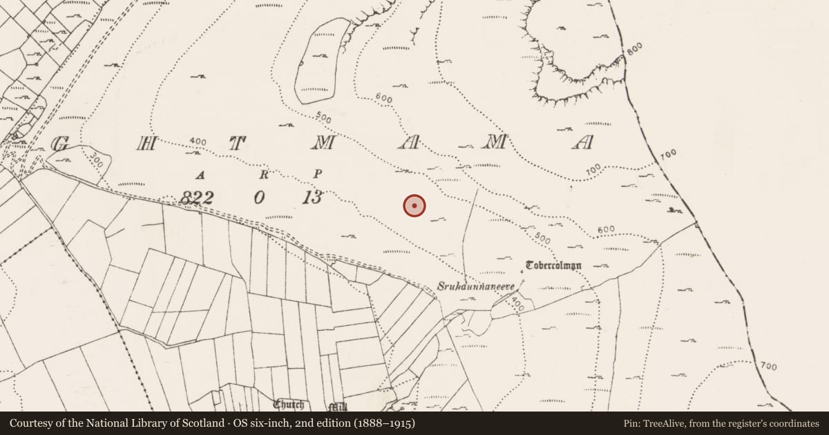 Ordnance Survey six-inch map, 2nd edition (1888–1915) covering the location of Fulacht fia, Oughtmama, County Clare, with a pin at the register's coordinates