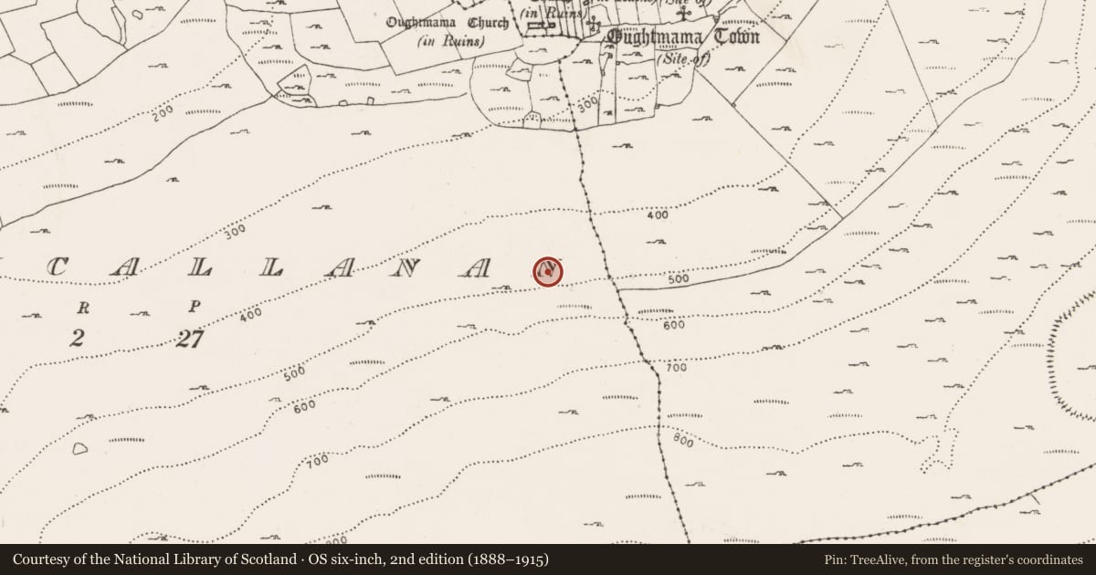 Ordnance Survey six-inch map, 2nd edition (1888–1915) covering the location of Fulacht fia, Knockycallanan, County Clare, with a pin at the register's coordinates