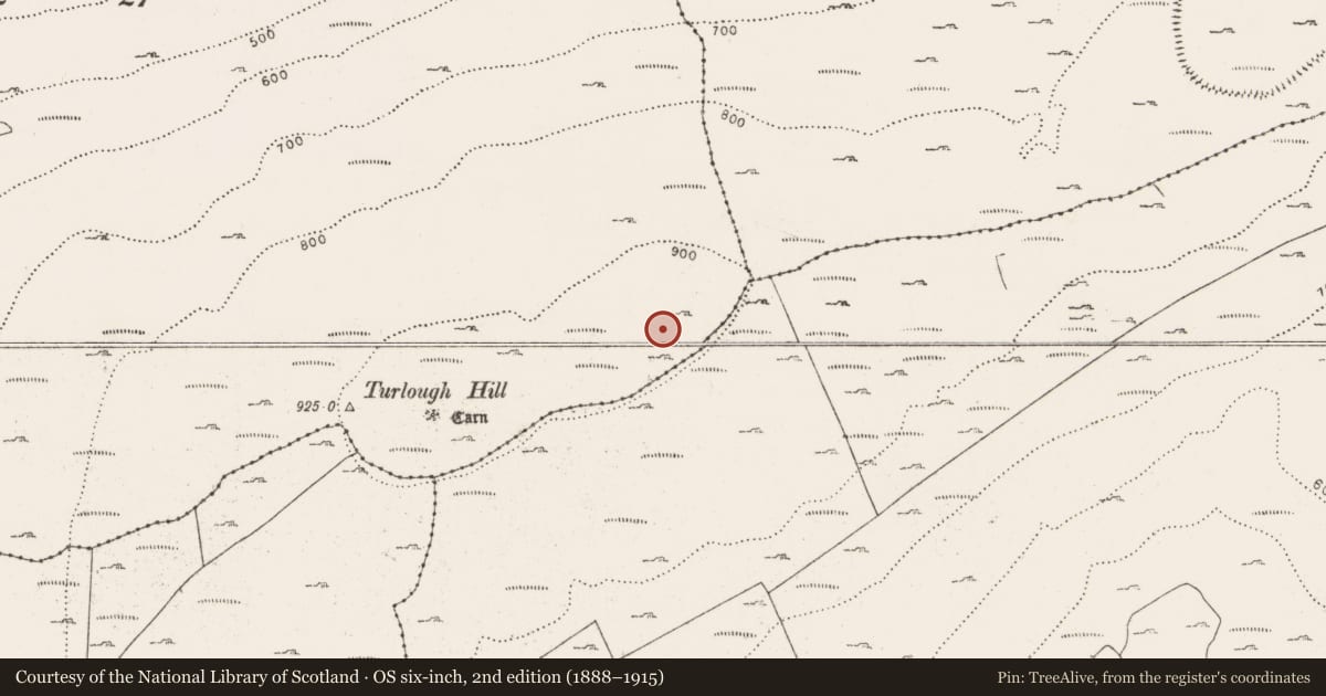 Ordnance Survey six-inch map, 2nd edition (1888–1915) covering the location of Enclosure, Knockycallanan, County Clare, with a pin at the register's coordinates