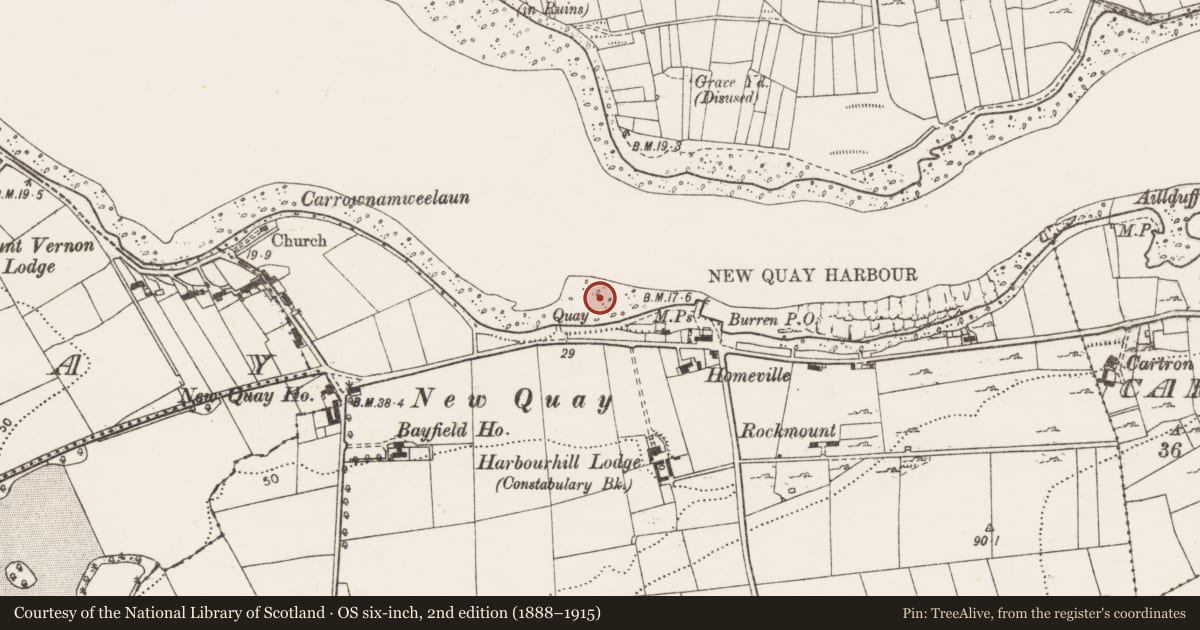 Ordnance Survey six-inch map, 2nd edition (1888–1915) covering the location of Weir - fish, Ballyvelaghan, County Clare, with a pin at the register's coordinates