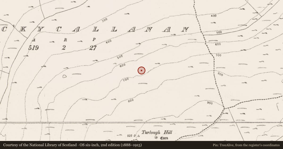 Ordnance Survey six-inch map, 2nd edition (1888–1915) covering the location of Hut site, Knockycallanan, County Clare, with a pin at the register's coordinates