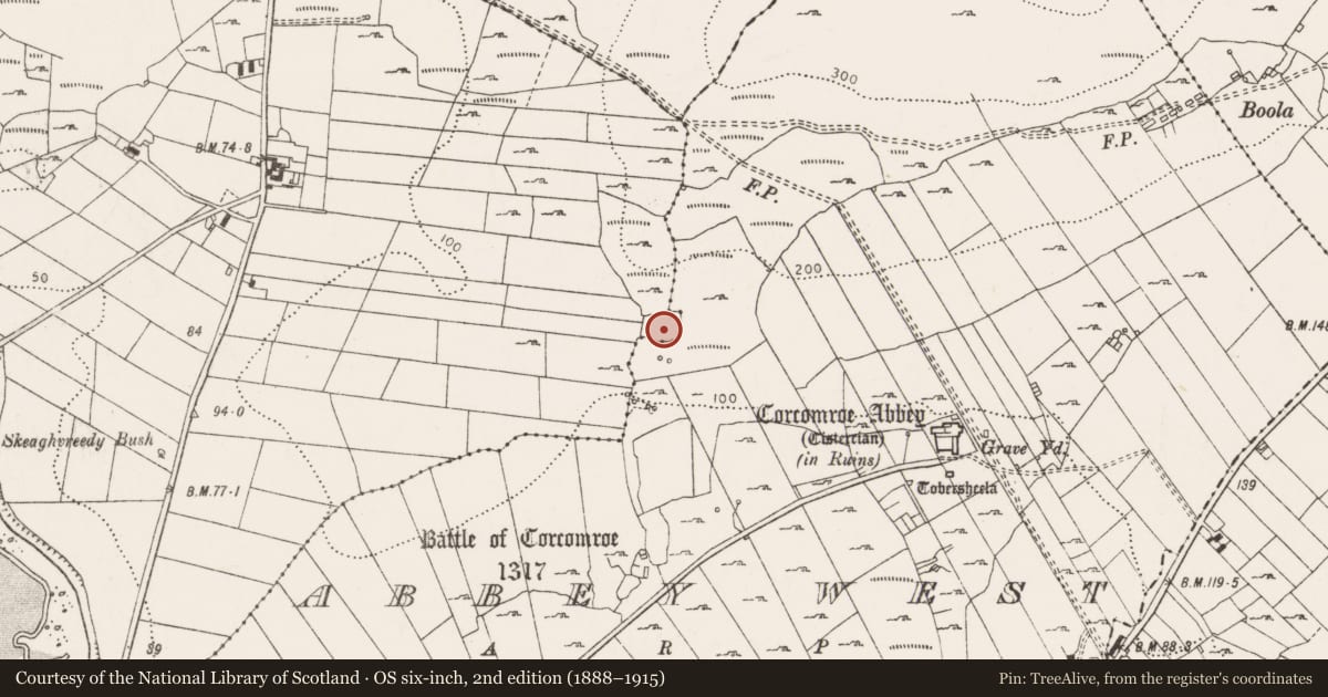 Ordnance Survey six-inch map, 2nd edition (1888–1915) covering the location of Enclosure, Abbey East, Dooneen, County Clare, with a pin at the register's coordinates