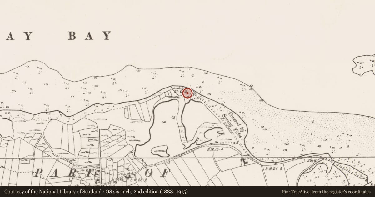 Ordnance Survey six-inch map, 2nd edition (1888–1915) covering the location of Martello tower, Aughinish, County Clare, with a pin at the register's coordinates