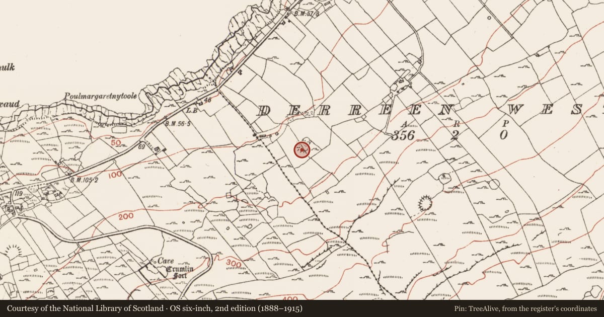 Ordnance Survey six-inch map, 2nd edition (1888–1915) covering the location of Ringfort - cashel, Derreen West, County Clare, with a pin at the register's coordinates