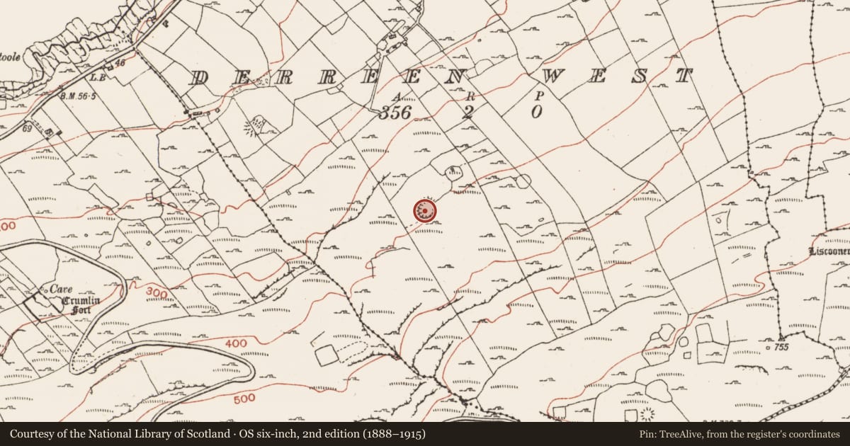 Ordnance Survey six-inch map, 2nd edition (1888–1915) covering the location of Hut site, Derreen West, County Clare, with a pin at the register's coordinates