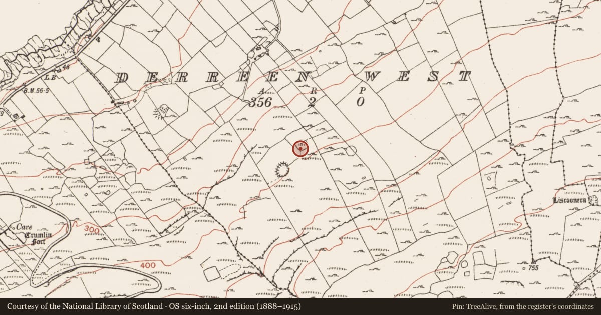 Ordnance Survey six-inch map, 2nd edition (1888–1915) covering the location of Ringfort - cashel, Derreen West, County Clare, with a pin at the register's coordinates