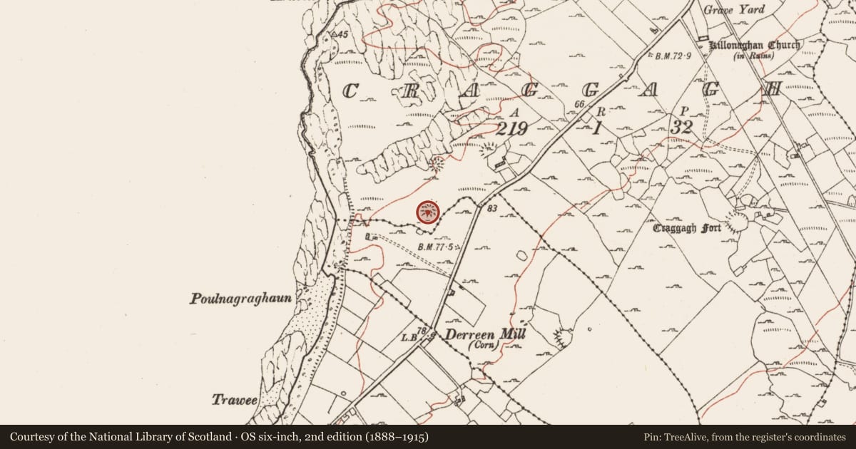 Ordnance Survey six-inch map, 2nd edition (1888–1915) covering the location of Ringfort - cashel, Craggagh, County Clare, with a pin at the register's coordinates