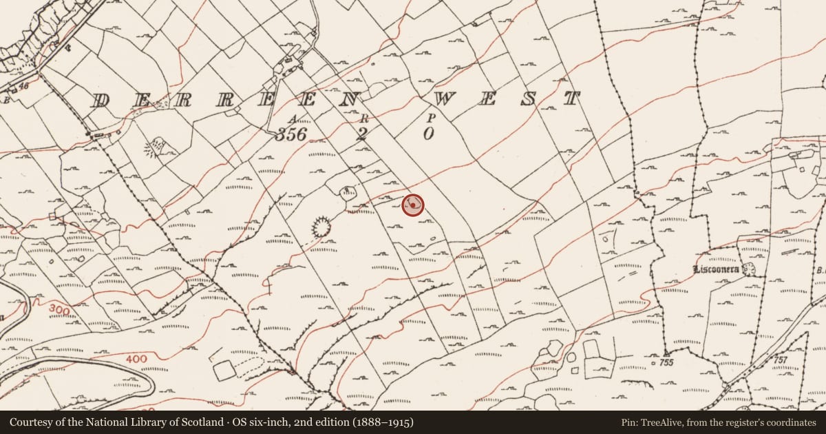 Ordnance Survey six-inch map, 2nd edition (1888–1915) covering the location of Ringfort - cashel, Derreen West, County Clare, with a pin at the register's coordinates