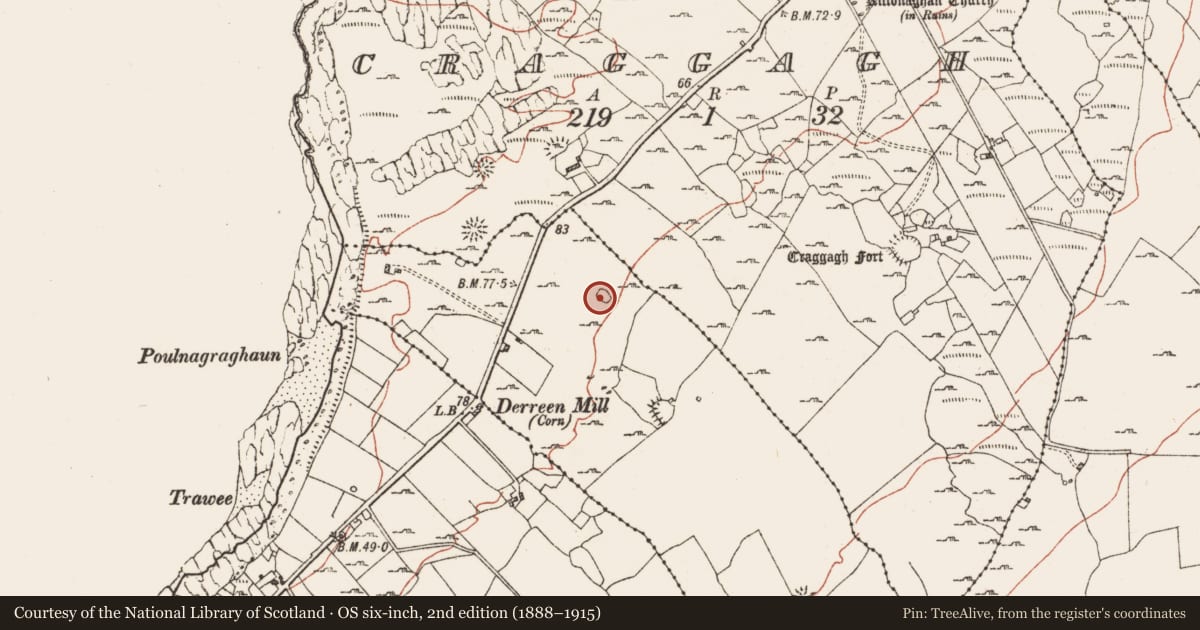 Ordnance Survey six-inch map, 2nd edition (1888–1915) covering the location of Enclosure, Derreen East, County Clare, with a pin at the register's coordinates