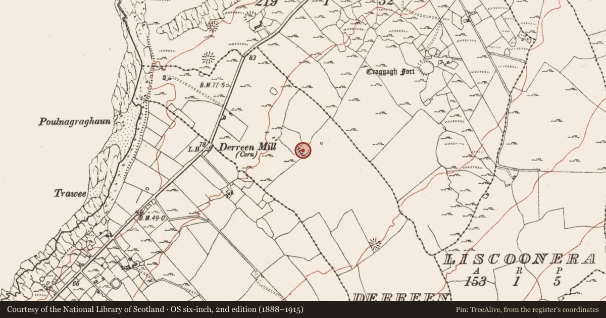Ordnance Survey six-inch map, 2nd edition (1888–1915) covering the location of Ringfort - cashel, Derreen East, County Clare, with a pin at the register's coordinates