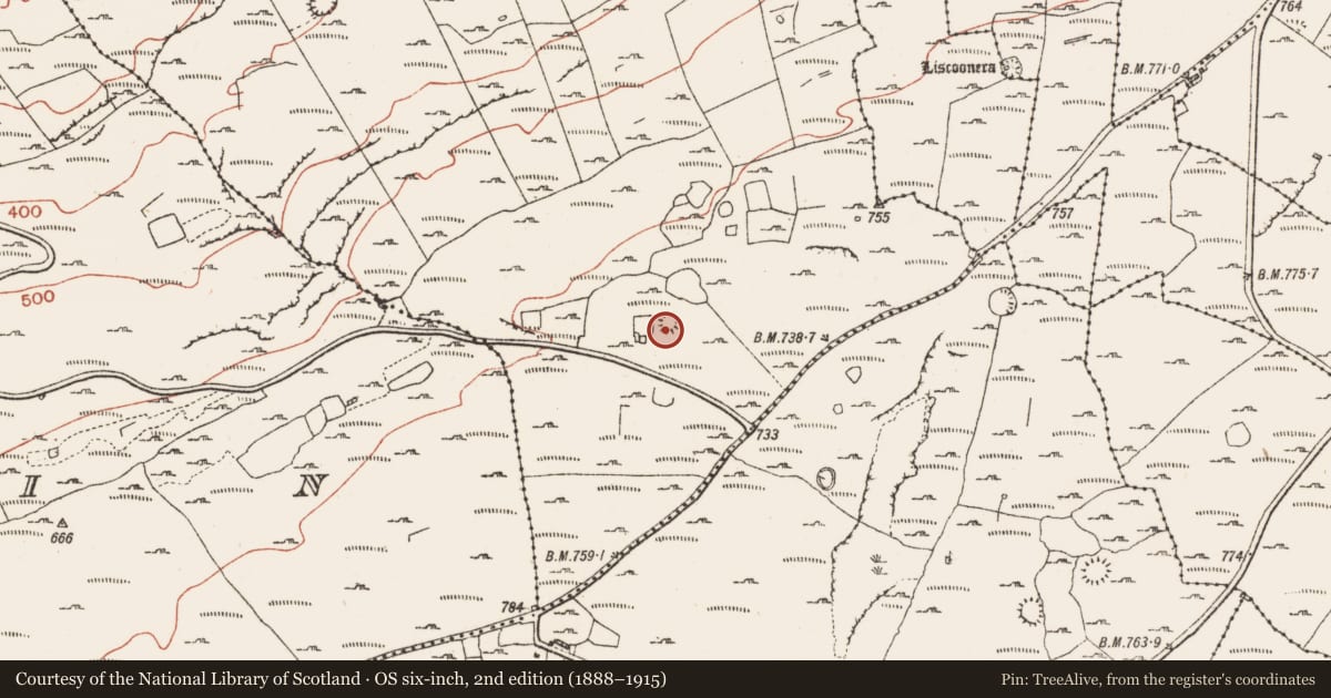 Ordnance Survey six-inch map, 2nd edition (1888–1915) covering the location of Ringfort - cashel, Derreen West, County Clare, with a pin at the register's coordinates