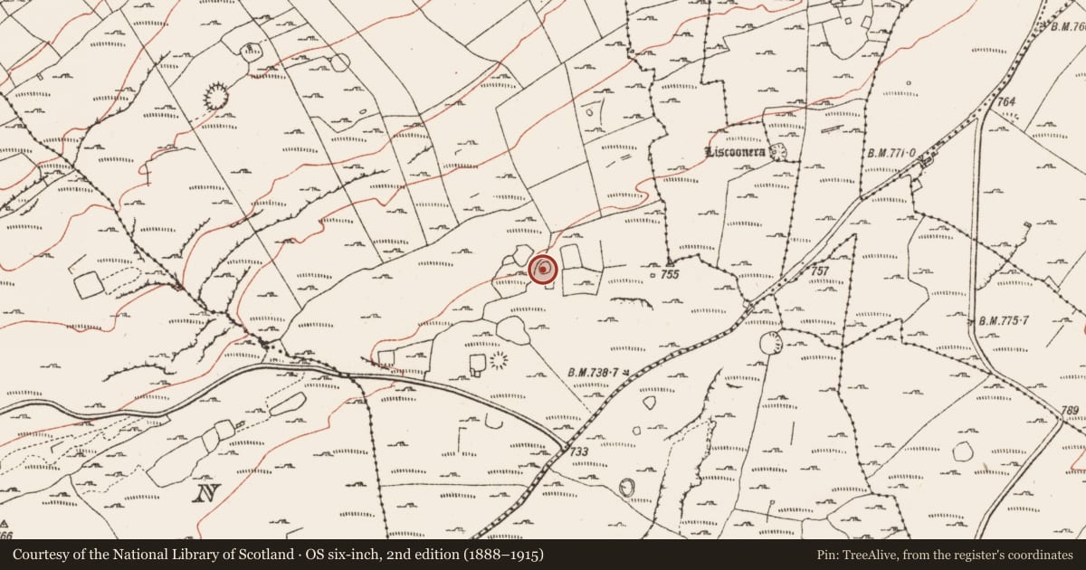 Ordnance Survey six-inch map, 2nd edition (1888–1915) covering the location of Ringfort - cashel, Derreen West, County Clare, with a pin at the register's coordinates