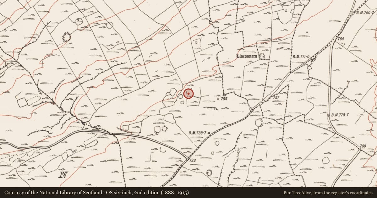 Ordnance Survey six-inch map, 2nd edition (1888–1915) covering the location of Ringfort - cashel, Derreen West, County Clare, with a pin at the register's coordinates