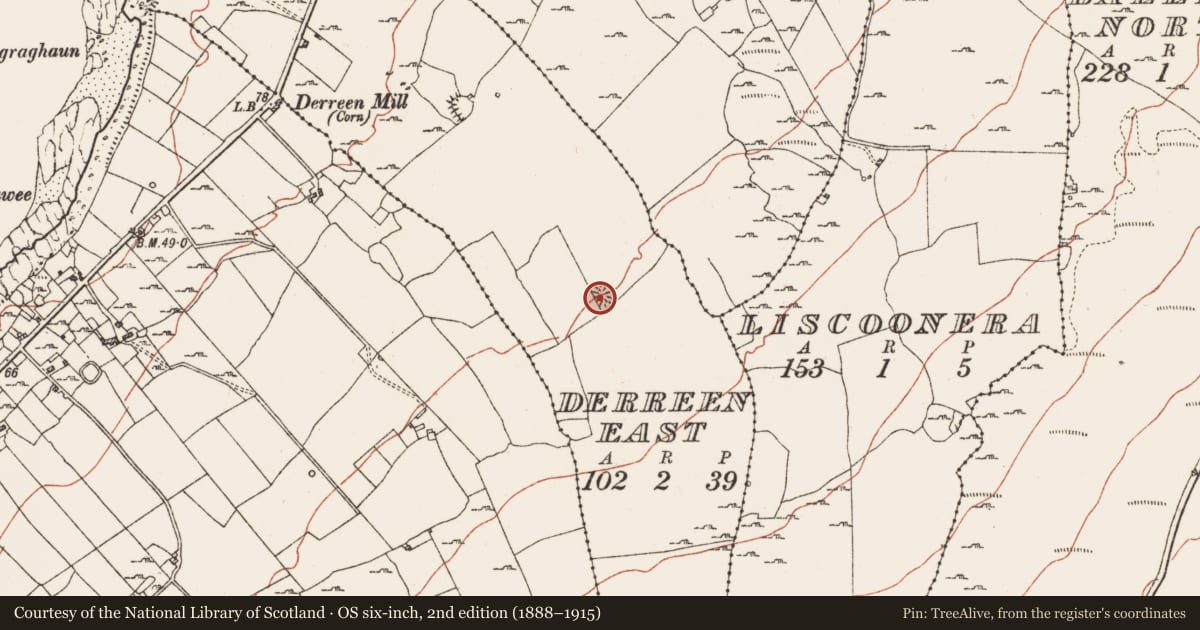 Ordnance Survey six-inch map, 2nd edition (1888–1915) covering the location of Ringfort - rath, Derreen East, County Clare, with a pin at the register's coordinates