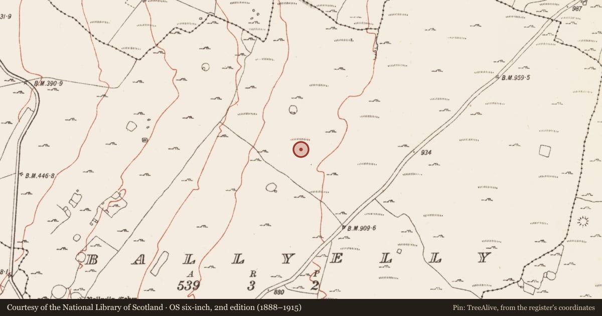 Ordnance Survey six-inch map, 2nd edition (1888–1915) covering the location of Field system, County Clare, with a pin at the register's coordinates