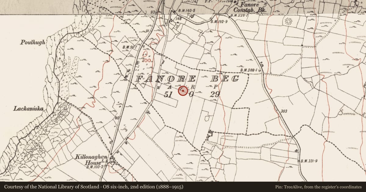 Ordnance Survey six-inch map, 2nd edition (1888–1915) covering the location of Ringfort - rath, Fanore Beg, County Clare, with a pin at the register's coordinates