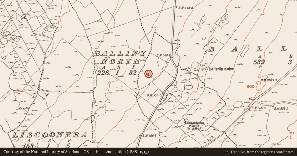 Ordnance Survey six-inch map, 2nd edition (1888–1915) covering the location of Ringfort - unclassified, Faunarooska, County Clare, with a pin at the register's coordinates