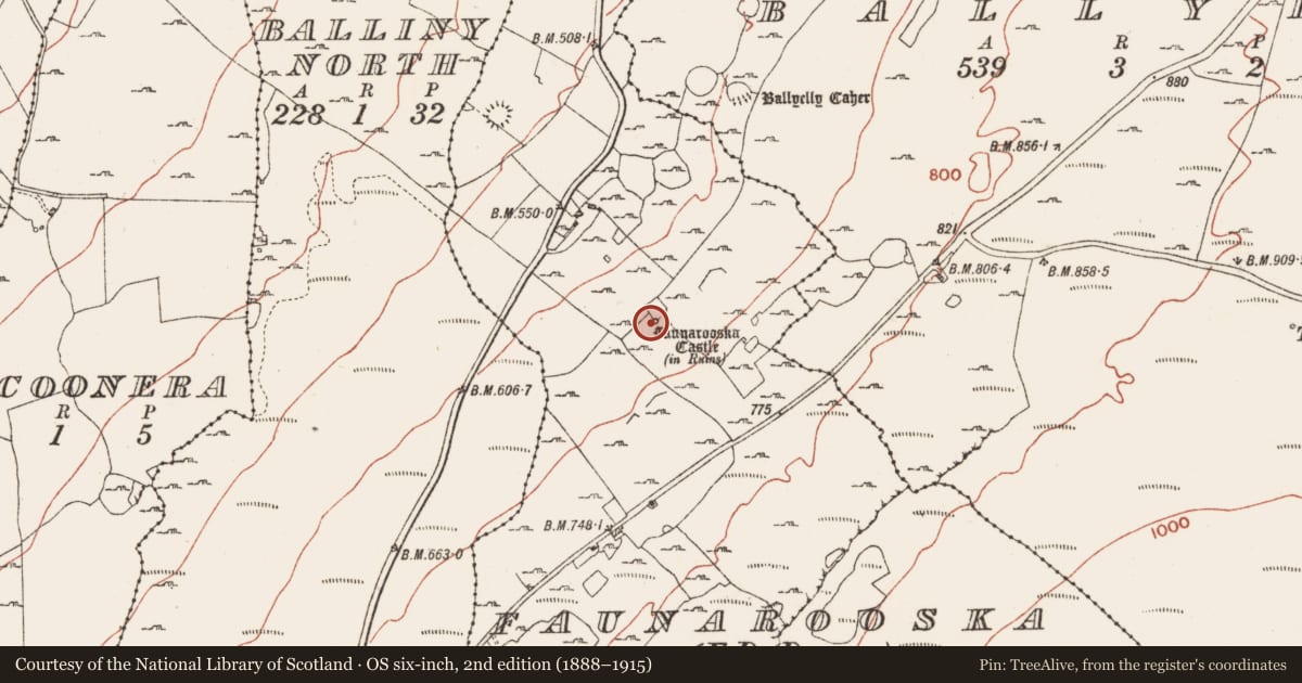Ordnance Survey six-inch map, 2nd edition (1888–1915) covering the location of Castle - tower house, Faunarooska, County Clare, with a pin at the register's coordinates