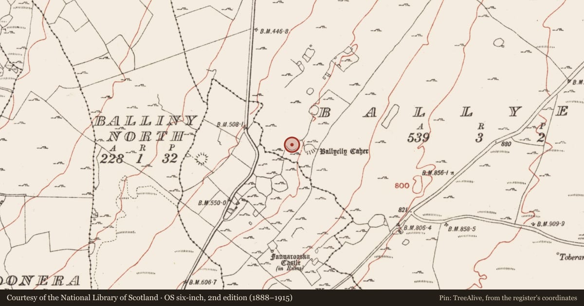 Ordnance Survey six-inch map, 2nd edition (1888–1915) covering the location of Enclosure, Ballyelly, County Clare, with a pin at the register's coordinates