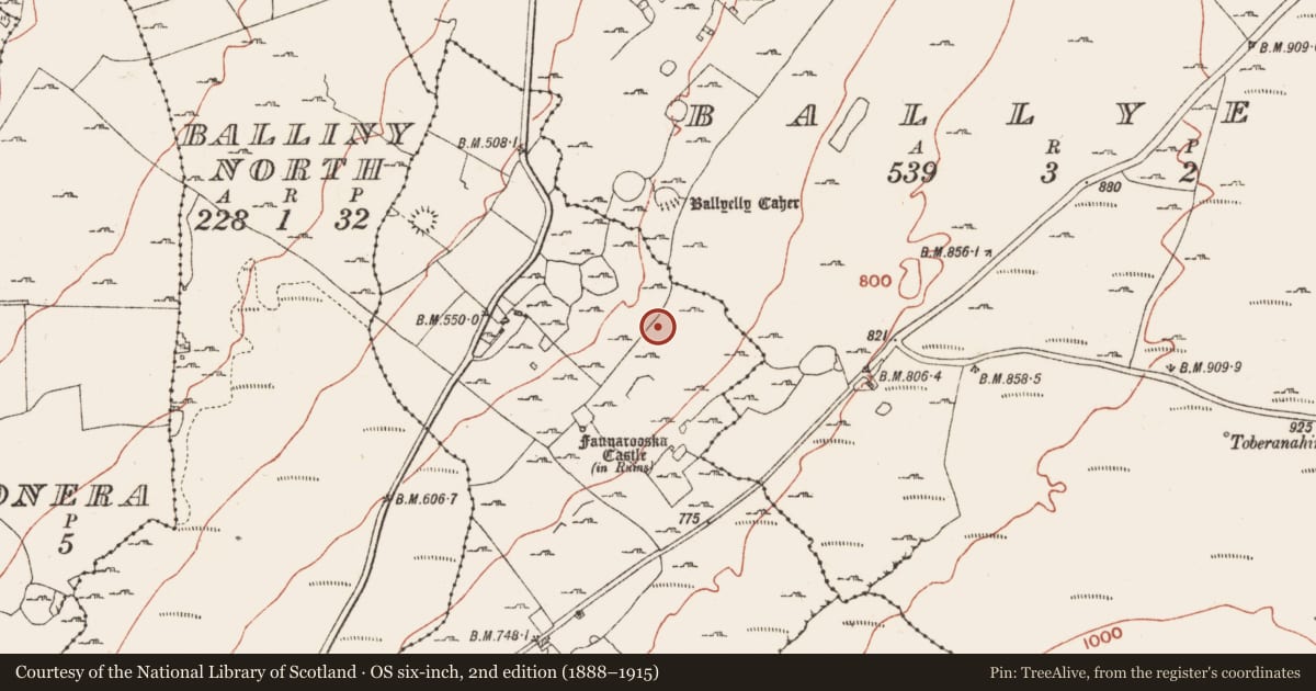 Ordnance Survey six-inch map, 2nd edition (1888–1915) covering the location of Ringfort - cashel, Faunarooska, County Clare, with a pin at the register's coordinates