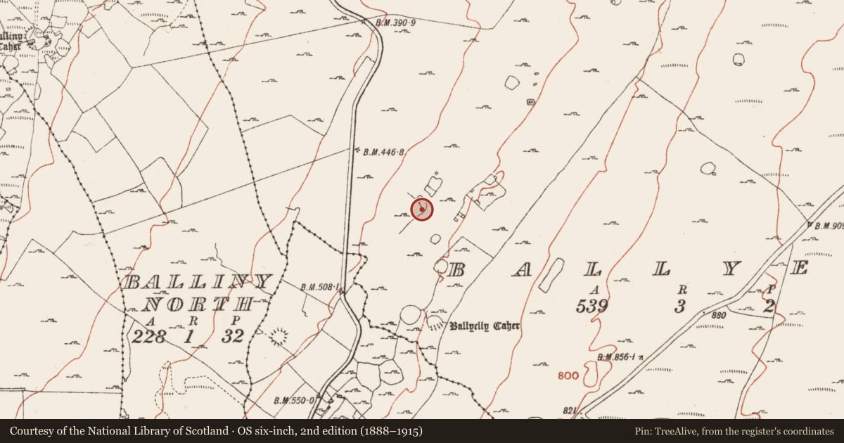 Ordnance Survey six-inch map, 2nd edition (1888–1915) covering the location of Enclosure, Ballyelly, County Clare, with a pin at the register's coordinates