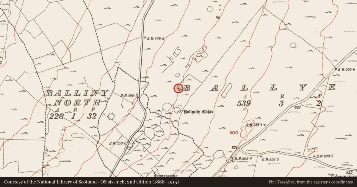Ordnance Survey six-inch map, 2nd edition (1888–1915) covering the location of Ringfort - cashel, Ballyelly, County Clare, with a pin at the register's coordinates