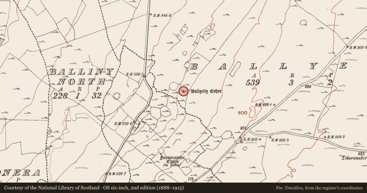 Ordnance Survey six-inch map, 2nd edition (1888–1915) covering the location of Ringfort - cashel, Ballyelly, County Clare, with a pin at the register's coordinates