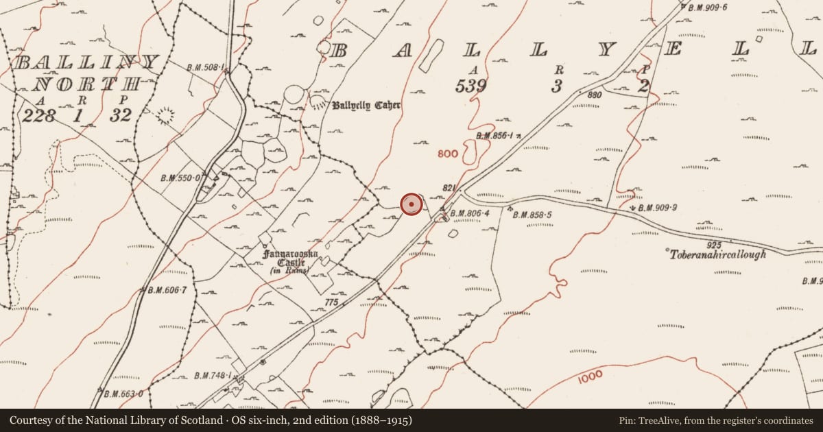 Ordnance Survey six-inch map, 2nd edition (1888–1915) covering the location of Enclosure, Ballyelly, County Clare, with a pin at the register's coordinates